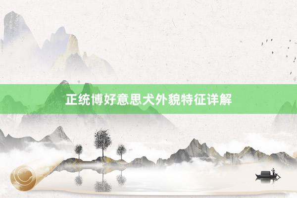 正统博好意思犬外貌特征详解